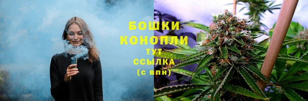 не бодяженный Козельск