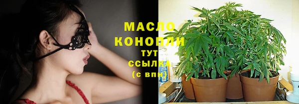прущие грибы Каменногорск