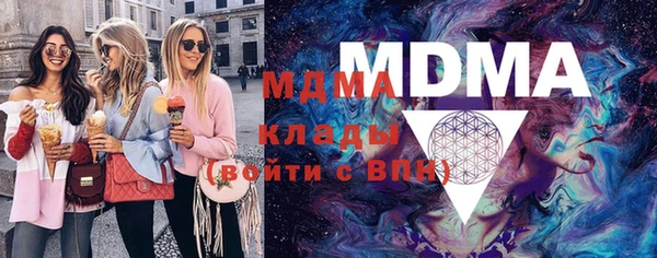 прущие грибы Каменногорск