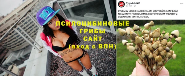 гидропоника Карталы