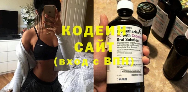 прущие грибы Каменногорск