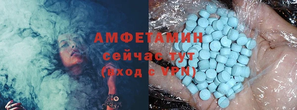 прущие грибы Каменногорск