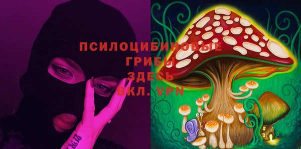 гидропоника Карталы