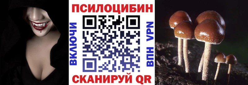 Галлюциногенные грибы ЛСД  Видное 
