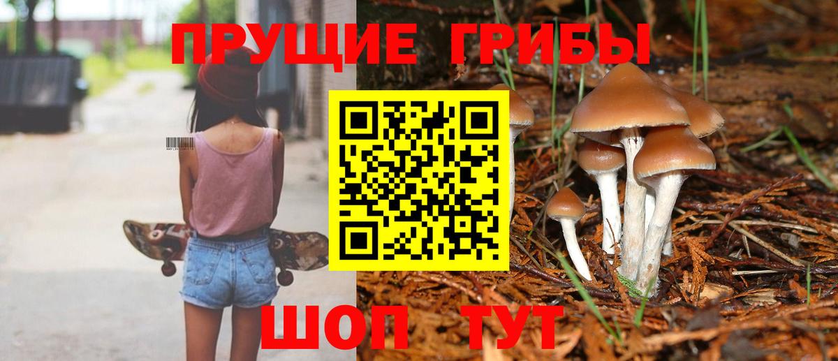 Псилоцибиновые грибы мицелий  Видное 