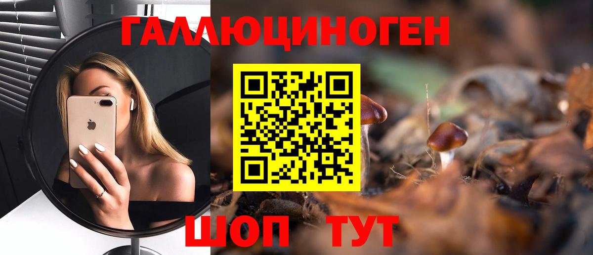 Псилоцибиновые грибы Psilocybe Видное